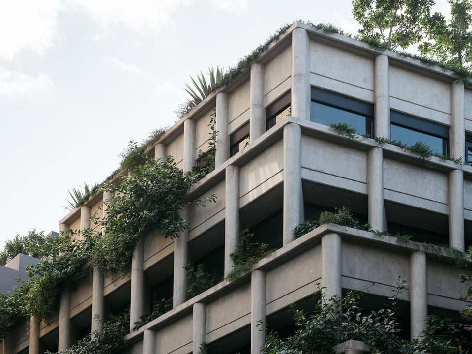 255 Crown St, Darlinghurst — commercial building maintained by Pulizia Cleaning